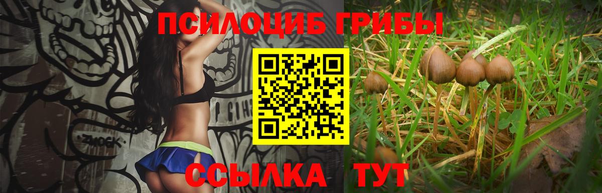 Галлюциногенные грибы Psilocybine cubensis Советский