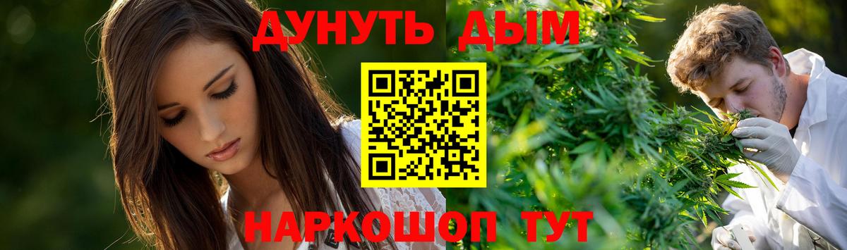 Каннабис гибрид Советский